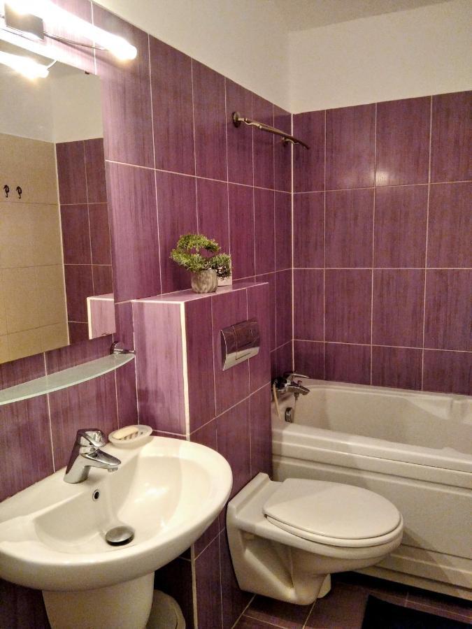 Lovely Central Apartment Brasov Ngoại thất bức ảnh